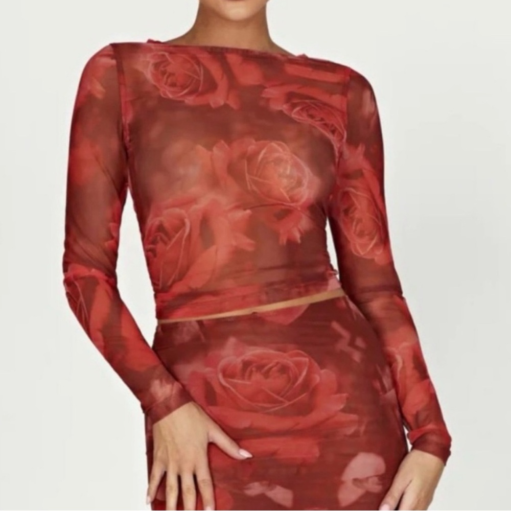 Meshki Red Floral Mesh Dress